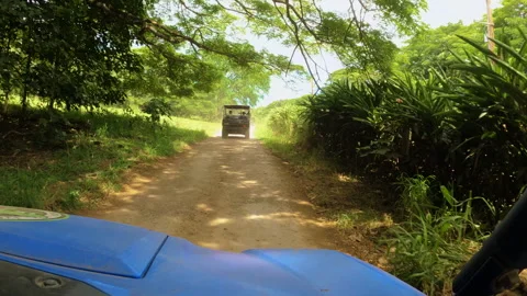Off road jeep driving through forest. Nature in Hawaii. Driving through dirt Stock Footage 251829040