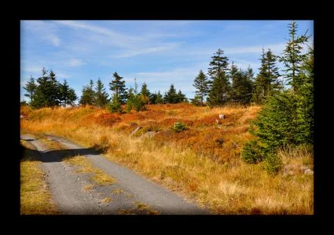 Road in Jizerske mountain Stock Photos