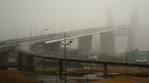 Road junction in deep fog, traffic Stock Footage 49407552