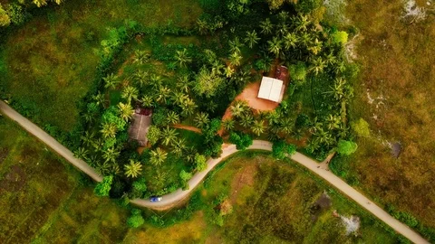 Road in jungl Stock Footage 107859357