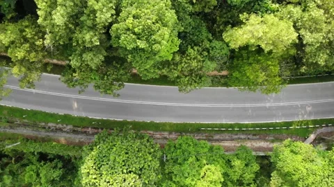 Road in the jungle Stock Footage 153641957