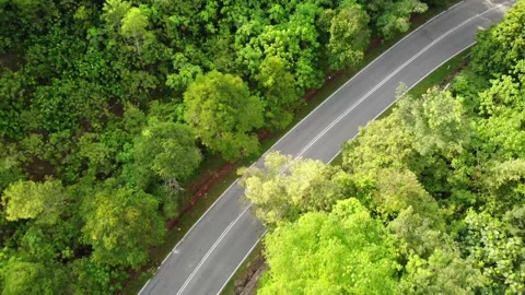 Road in the jungle Stock-Footage 153642122