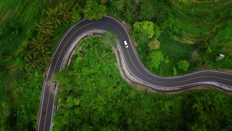 A road in the jungle Stock Footage 294689176