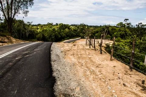 Road in the jungle Stock Photos