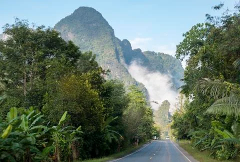 Road in the jungle Foto stock