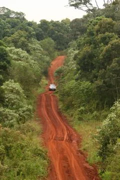 Road jungle Foto stock