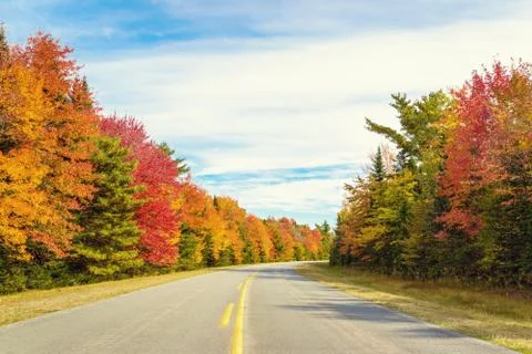 Road to keji in fall Stock Photos
