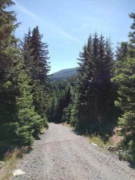 The Road That Knows the Answer Foto stock