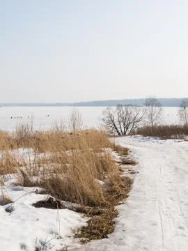 Road to the lake Stock Photos