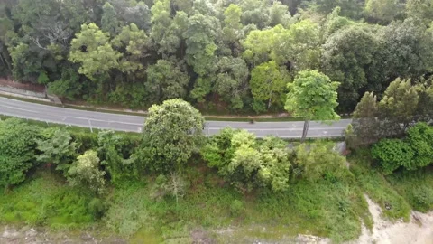 Road with lake on the side Video stock 153642074