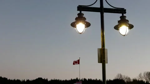 Road lamp in the park at night with 4k resolution 스톡 동영상 61925883