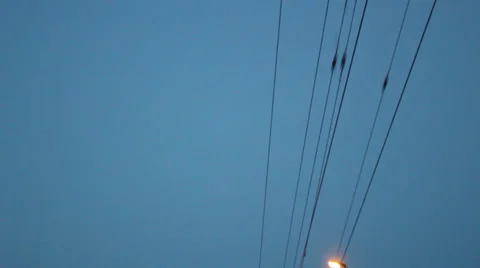Road lamps 5 Stock Footage 25006717