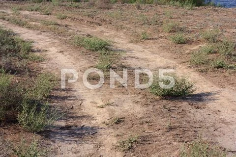 Road on land Stock Photos