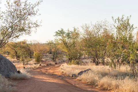 Road landscape at the Hoada Rest Camp Stock Photos