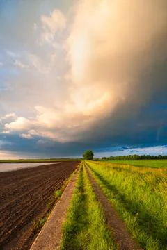 Road leading to colored clouds of an evening rain shower Stock Photos