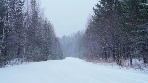 A road leading deep into the winter forest. Snowfall in a snowy forest. Stock Footage 300759370