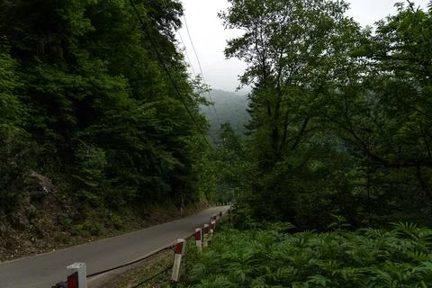 The road leading down to the mountains, cloudy sky, Georgia Stock Photos