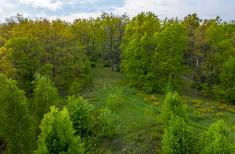 The road leading to the forest photo with a quadcopter drone Stock Photos