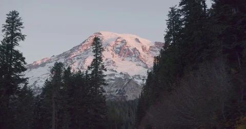Road Leading to Mt. Rainier 库存影片 84745111