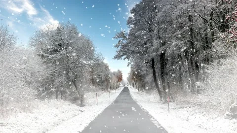 Road leading through forest with snowfall and fog Stock Footage 221924873