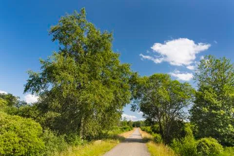 A road leading through wide moor landscape with some trees in the High Fens,  Stock Photos