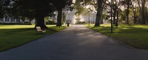 Road leading to the town hall Stock Footage 81003380