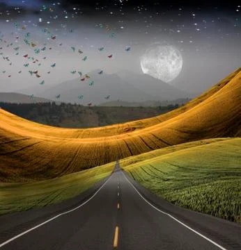 Road leads into distance Stock Illustration