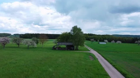 A road that leads to a forest surrounded by a meadow Stock Footage 154415785