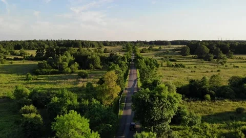 The road leads through fields and forests. Stock Footage 136037995