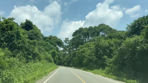 Road leads through tropical rainforest, Murchison Falls National Park, Uganda Vidéo 322696258