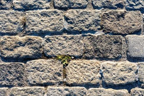 Road lined with rough rough gray stone as background or texture. Stock Photos