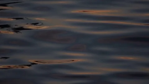 Road low level close up detail Stock Footage 80316111