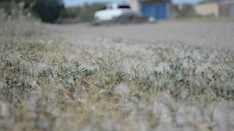 The road from the lower angle, passing car Stock Footage 111669765