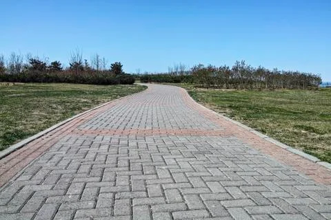 The road made by the bricks at the grassland Foto stock