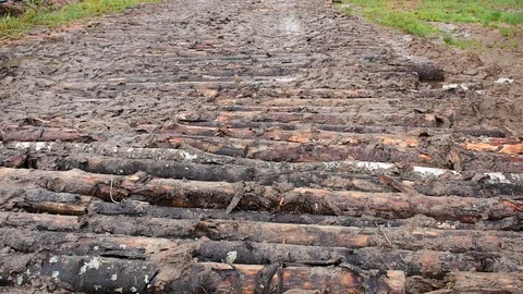 Road made of logs Stock Footage 118903648