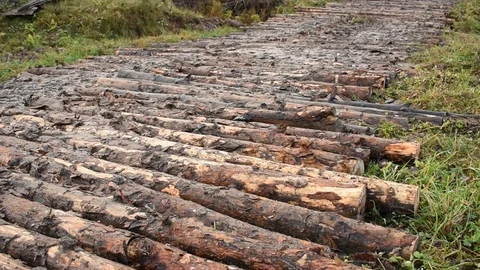 Road made of logs, side view Stock Footage 118903613