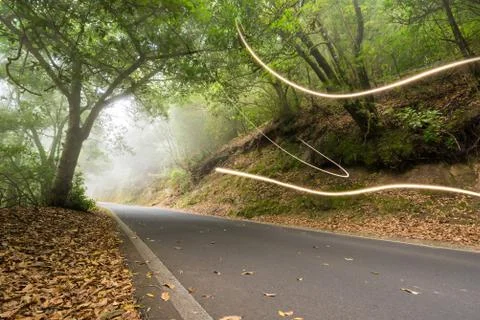 Road in the magic forest, light trails through the myst, fairy tale scenary v 写真素材