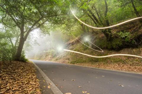 Road in the magic forest, light trails through the myst, fairy tale scenary,  Stock-Fotos