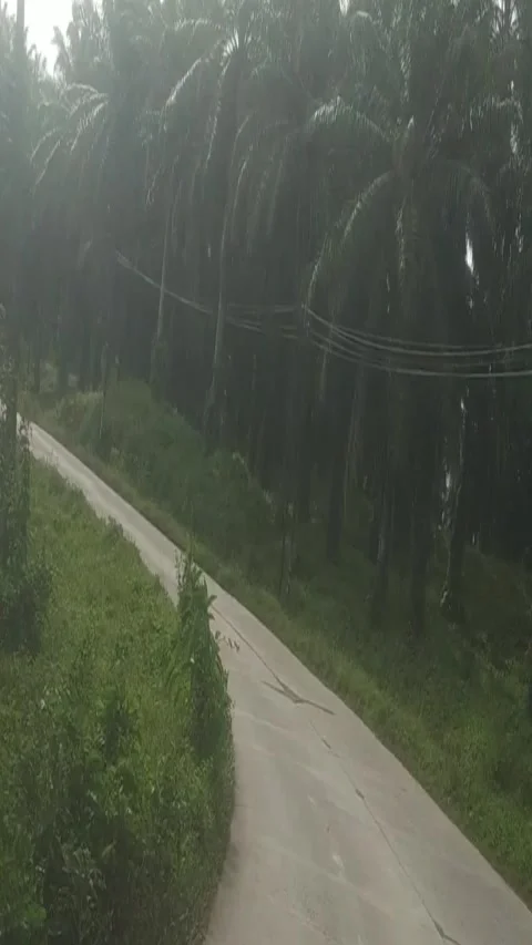 Road to malingping by gunung kencana 2 Stock Footage 242510107