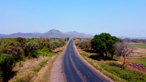 A road at Mapungubwe Stock Footage 298208111