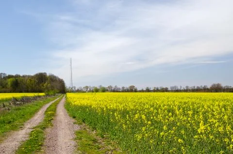 Road to mast Stock Photos