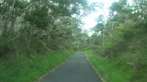 Road to Mauna Loa Stock Footage 648432