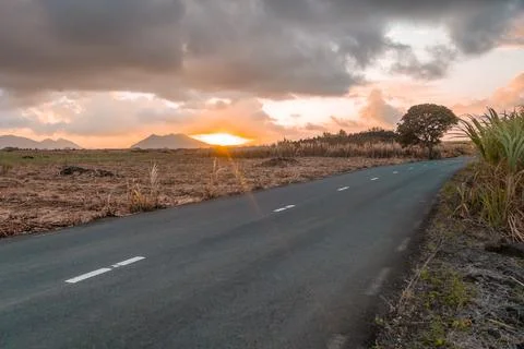 Road in Mauritius during a sunset Foto stock