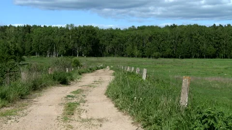 Road on meadow and forest Stock Footage 67563107