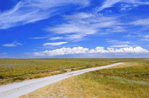Road in a meadow Foto stock