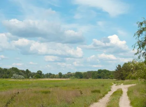 Road on a meadow Foto stock