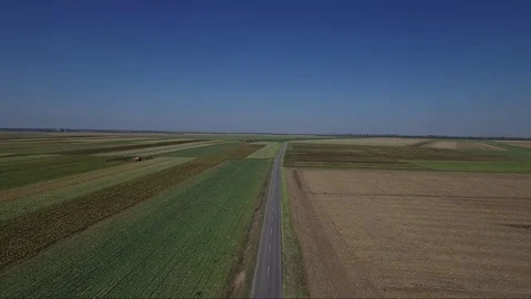 Road in the middle of agricultural fields, drone aerial footage Stock Footage 85233164