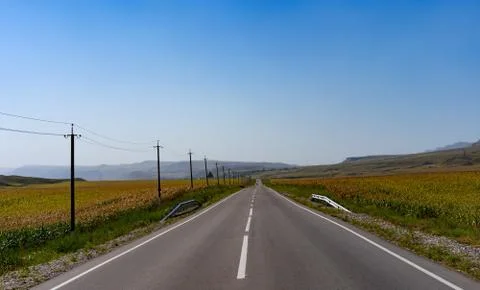 The road in the middle of the corn field Stock-Fotos