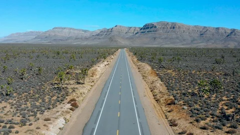 Road in the Middle of the Desert Stock Footage 127010439