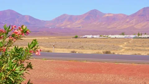 Road middle of a dessert high mountains blue clear sky flower bush cars Stock Footage 281375520